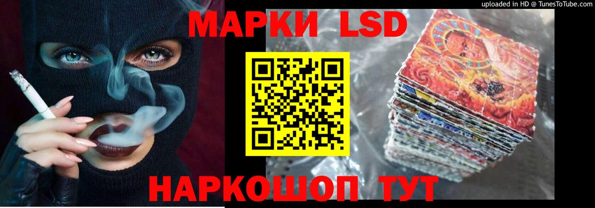 APVP Сокол