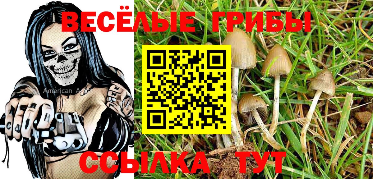 Галлюциногенные грибы MAGIC MUSHROOMS  Вход с VPN  Псилоцибиновые грибы Cubensis  закладка  Сокол 